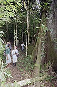 Erika Lodge and the jungle in the Manu reserve